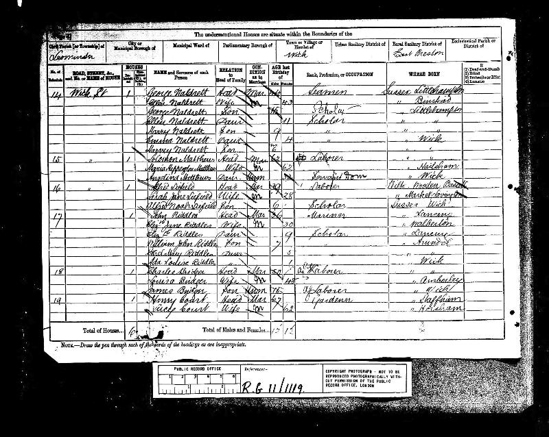 Carey (Maria Rippington) 1881 Census